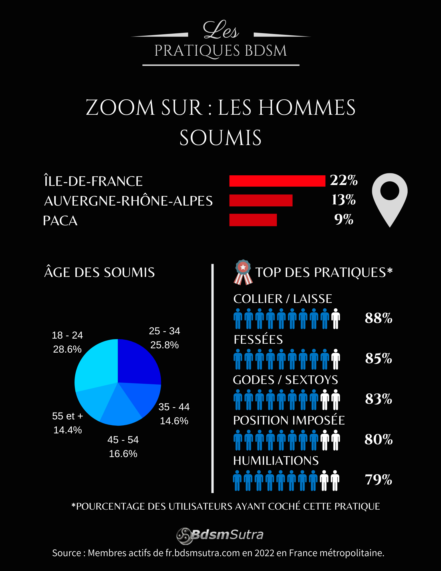 Infographie BDSM 2022 : hommes soumis